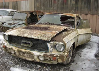 El misterio detrás de por qué tantos dueños de Mustangs los abandonan.