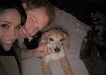 El príncipe Harry y Meghan Markle dan la bienvenida a un nuevo miembro en su familia