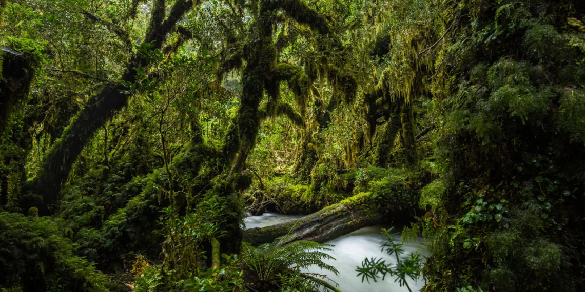 La Inteligencia Artificial revela teorías sobre el origen de la vida en la Tierra