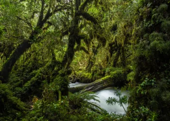 La Inteligencia Artificial revela teorías sobre el origen de la vida en la Tierra