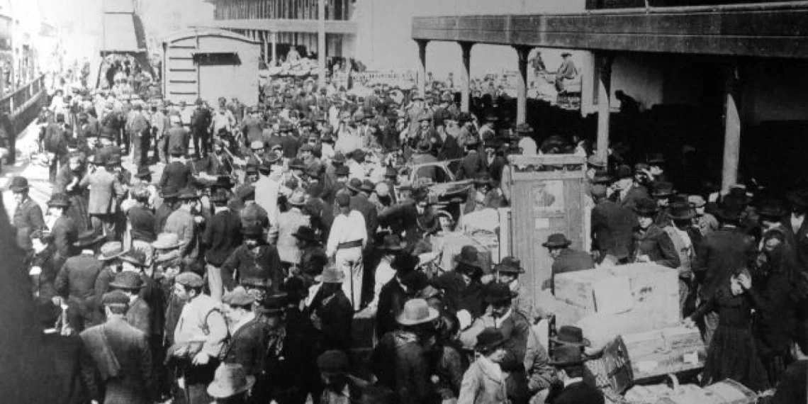 La historia de una vida buscando sus raíces.