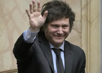 ¿Cuán lejos llegará Milei sin el apoyo de la “elite”? ¿Por qué Junio puede marcar un hito en su carrera?”