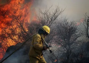 Vecinos argentinos se organizan para proteger bosques en temporada de incendios ante escasez de recursos públicos