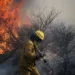 Vecinos argentinos se organizan para proteger bosques en temporada de incendios ante escasez de recursos públicos