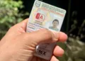 La nueva licencia de conducción permanente en Ciudad de México: cambios, costo y fecha de llegada al mercado