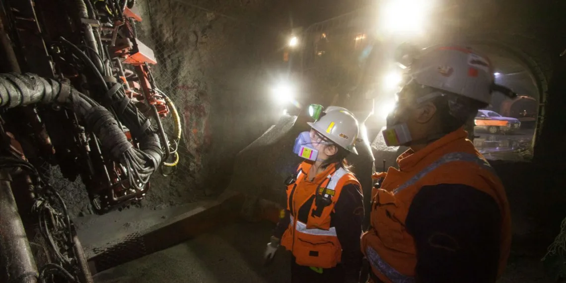 América Latina: Un potencial económico basado en sus reservas de minerales críticos y alimentos