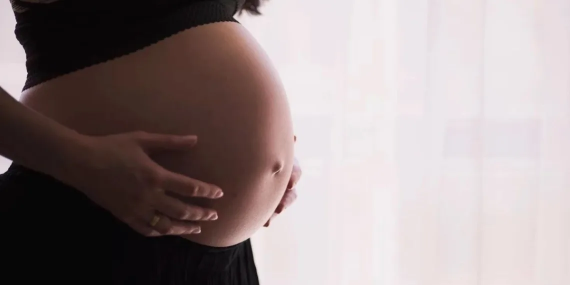 Avanza investigación de supuesta red de subrogación paga en la justicia argentina